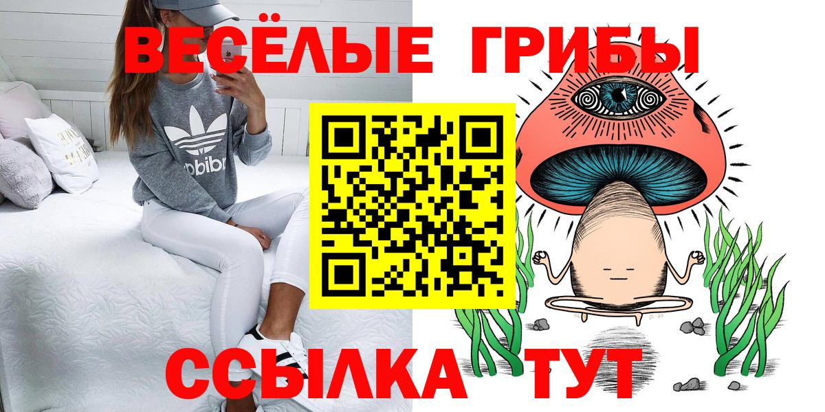 что такое наркотик  Псилоцибиновые грибы Magic Shrooms  Вход с VPN  Ртищево  Псилоцибиновые грибы Cubensis 