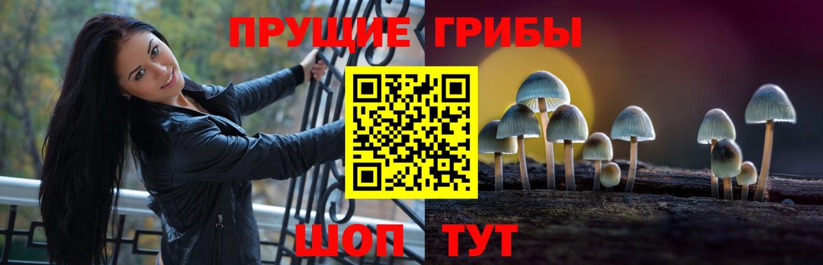 Псилоцибиновые грибы MAGIC MUSHROOMS Ртищево
